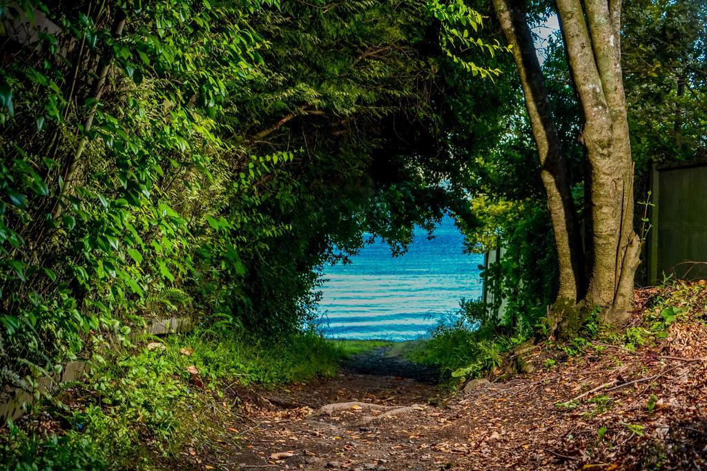 Cabanas Aylen Otel Pucón Dış mekan fotoğraf