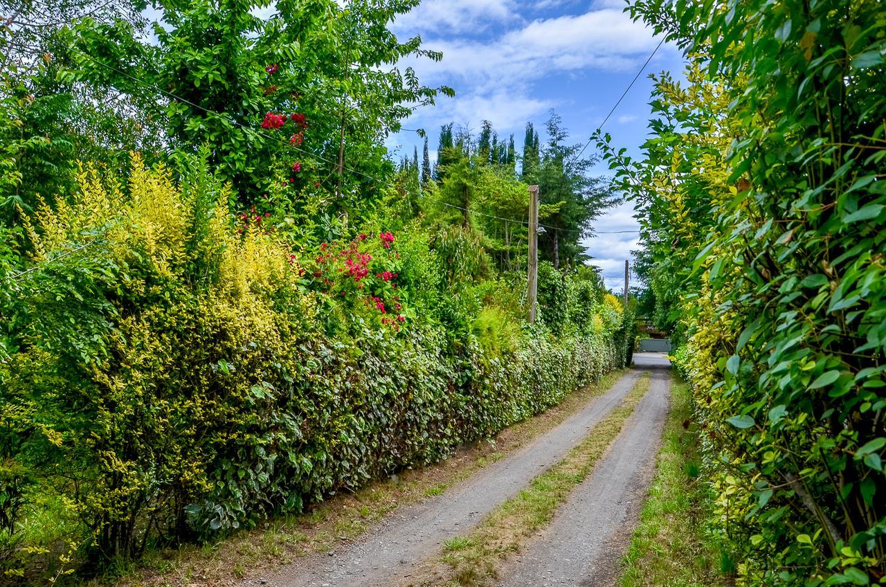 Cabanas Aylen Otel Pucón Dış mekan fotoğraf