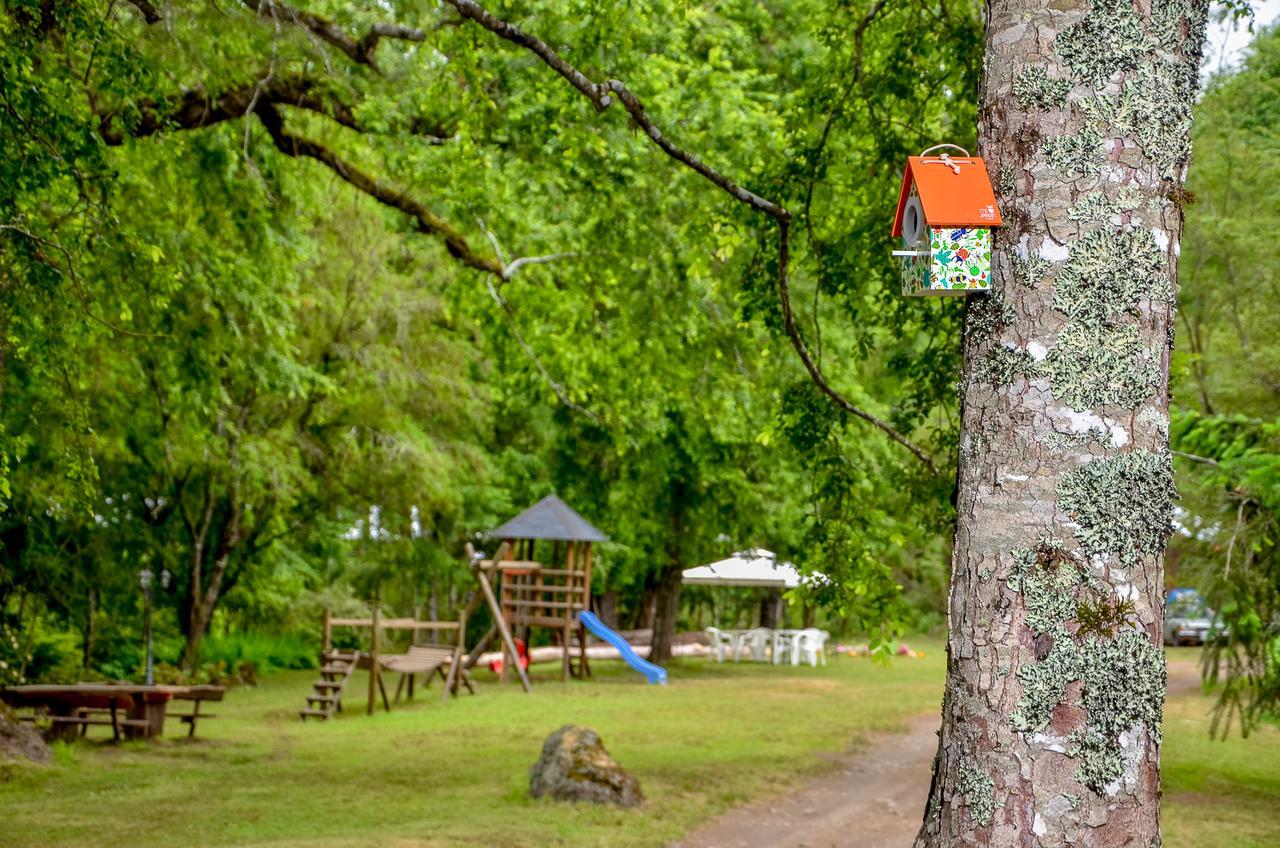 Cabanas Aylen Otel Pucón Dış mekan fotoğraf